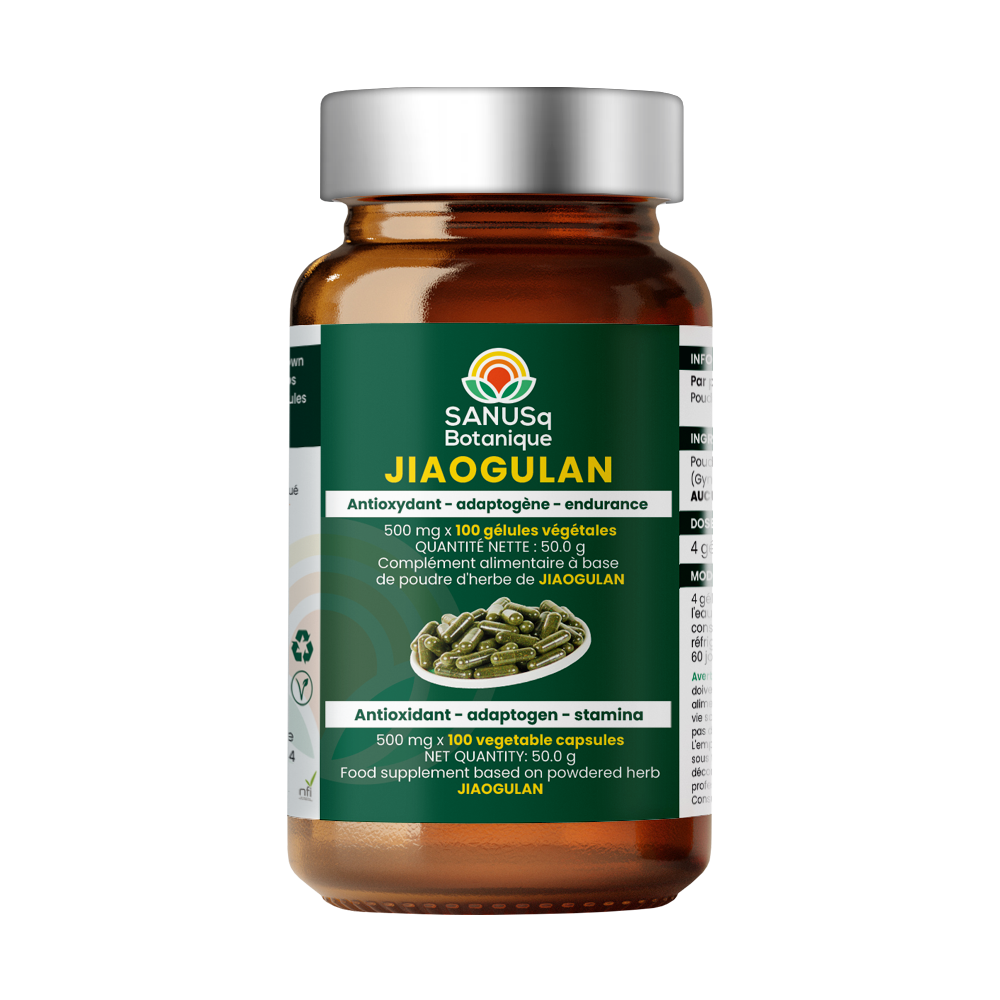 Jiaogulan herb powdered leaf capsules 500mg x 100