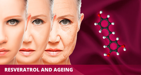 Resveratrol and ageing