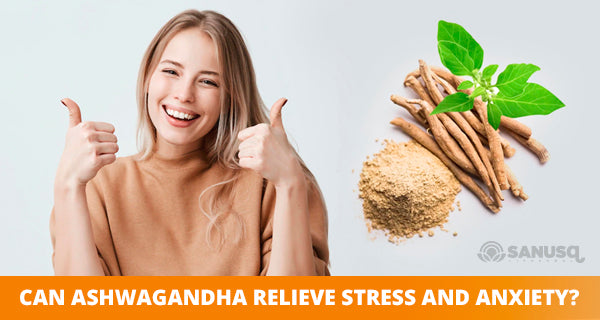 Ashwagandha and it’s anti-stress and anti-anxiety benefits