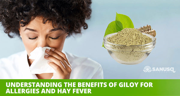 discover the amazing benefits of giloy for allergies and hayfever